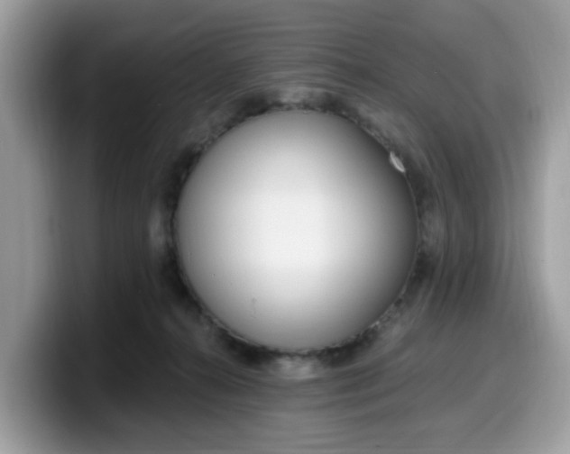 X0000099580272200805301605