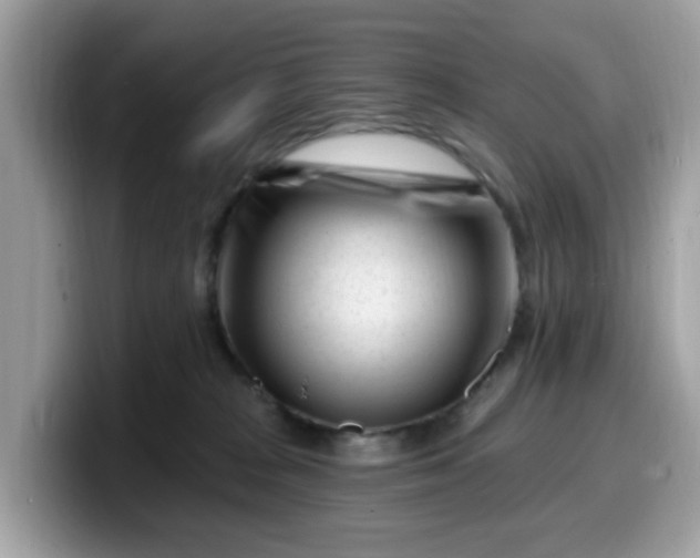 X0000099580277200805301605