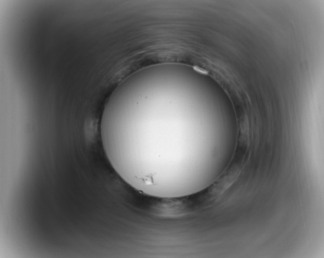 X0000099580278200805301605