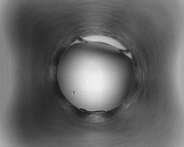 X0000099580280200805301605