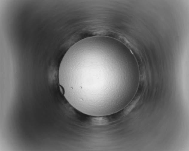 X0000099580281200805301605