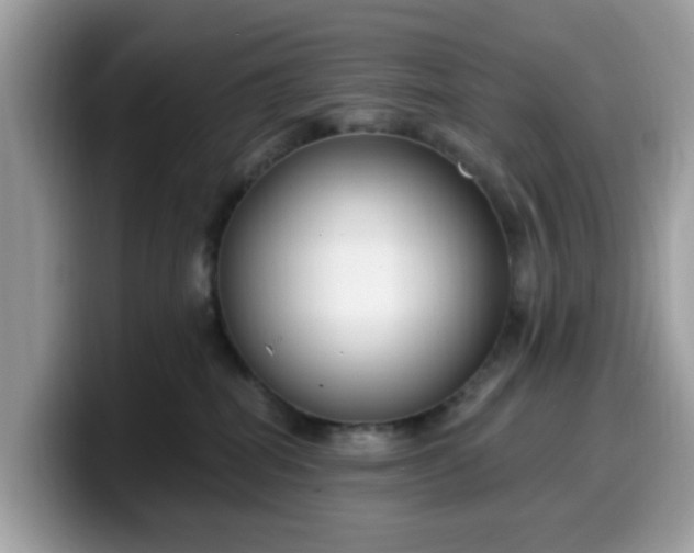 X0000099580282200805301605