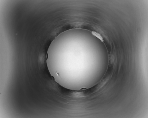 X0000099580283200805301605