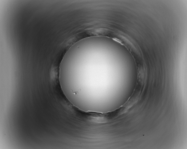 X0000099580284200805301605