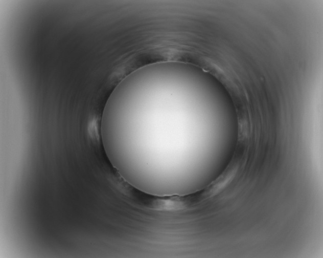 X0000099580286200805301605