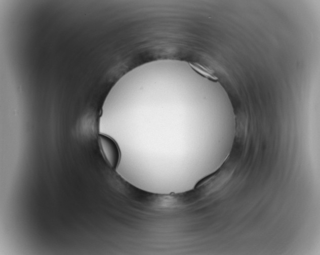 X0000099580287200805301605