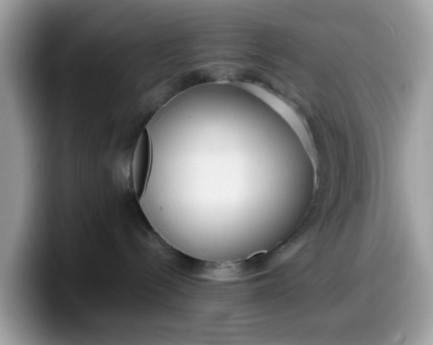 X0000099580288200805301605