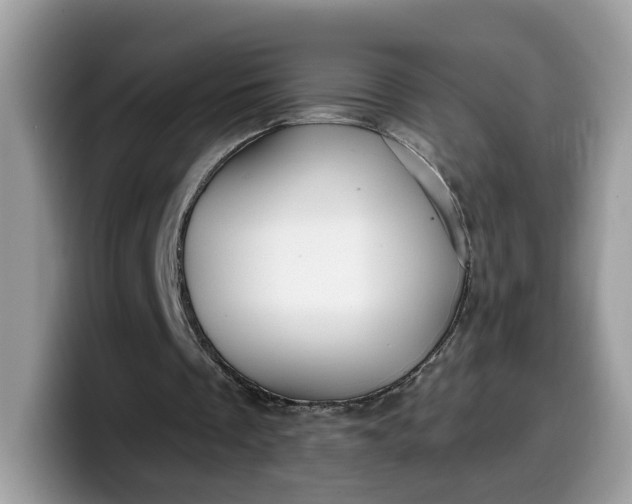 X0000099580289200805301605