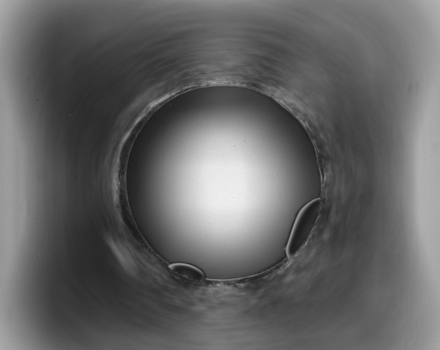 X0000099580290200805301605