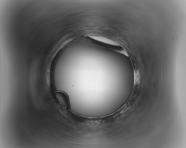 X0000099580291200805301605