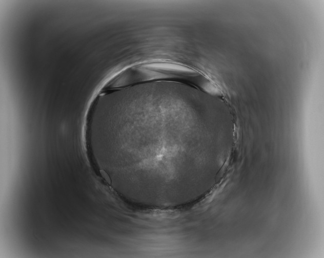 X0000099580292200805301605