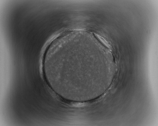 X0000099580293200805301605