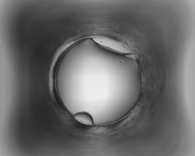 X0000099580294200805301605