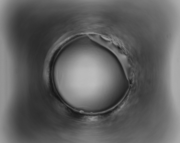 X0000099580295200805301605