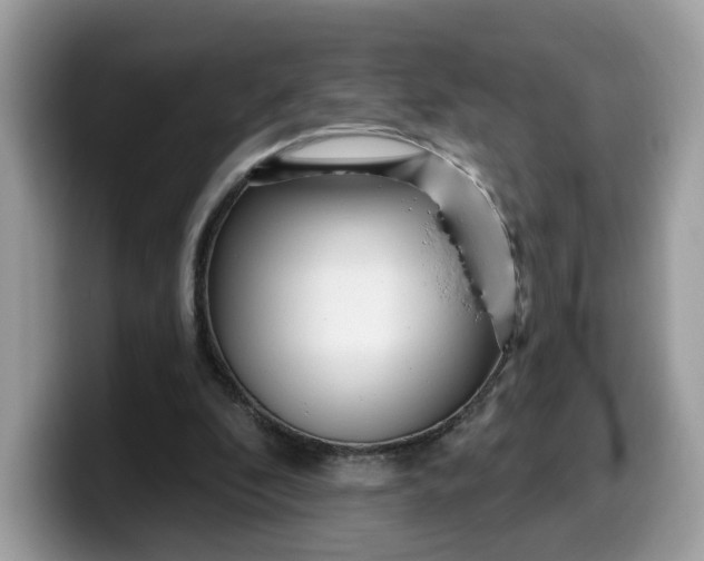 X0000099580296200805301605