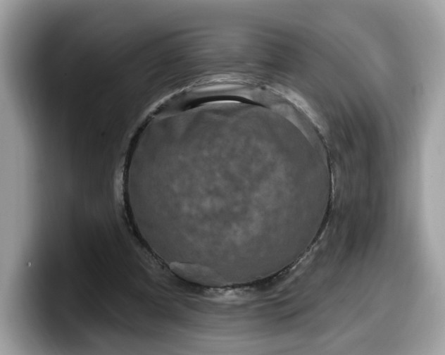 X0000099580297200805301605