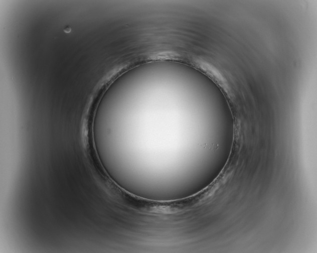 X0000099580298200805301605