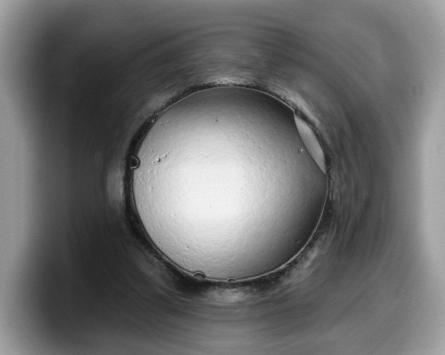 X0000099580299200805301605