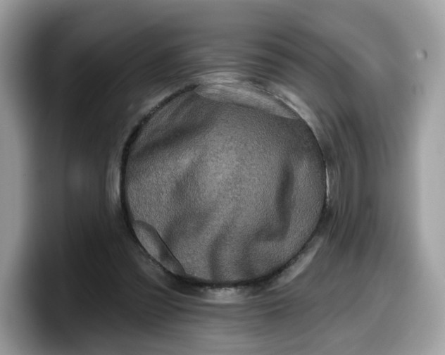 X0000099580301200805301605