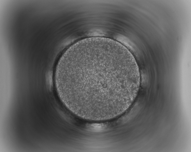 X0000099580302200805301604