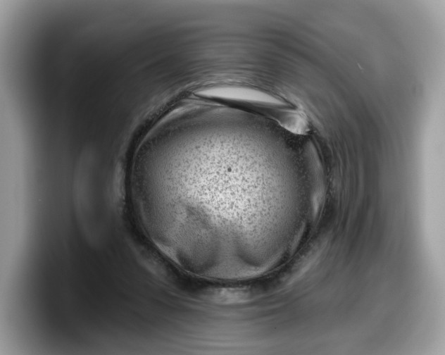 X0000099580303200805301604