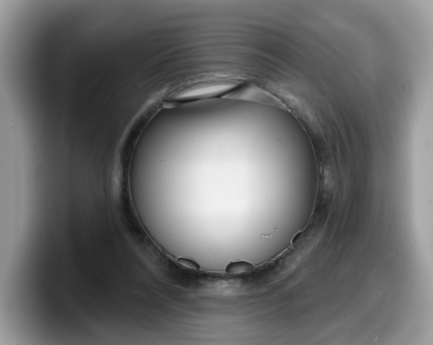 X0000099580304200805301604