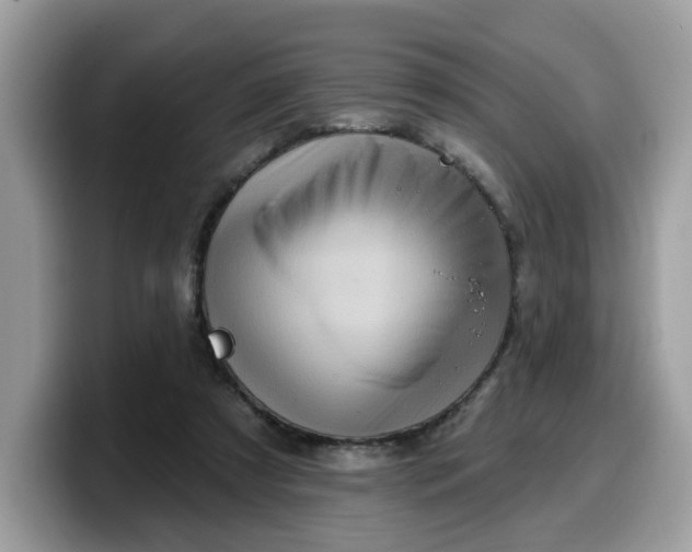 X0000099580305200805301604