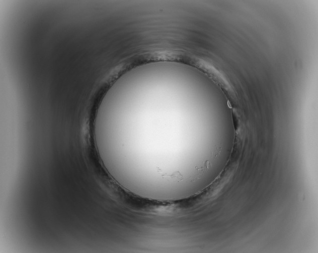 X0000099580306200805301604