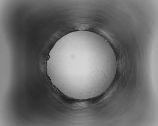 X0000099580307200805301604