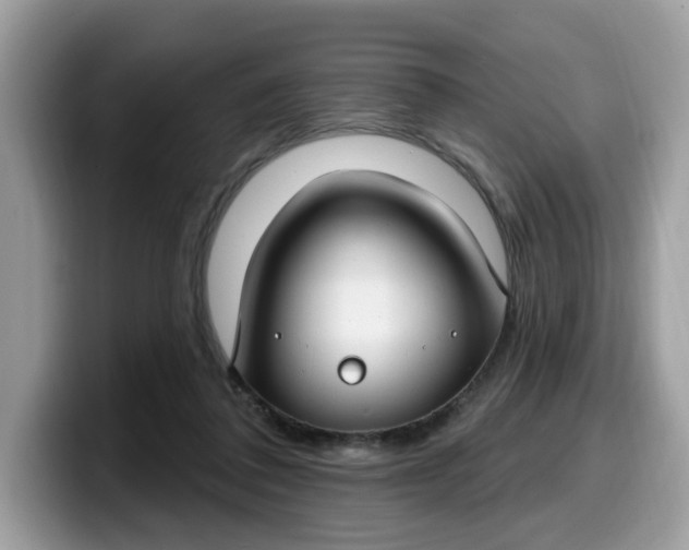 X0000099580308200805301604