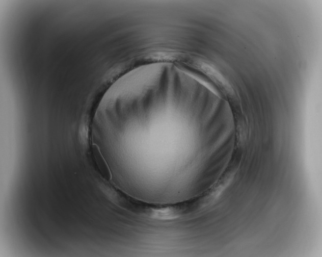 X0000099580309200805301604