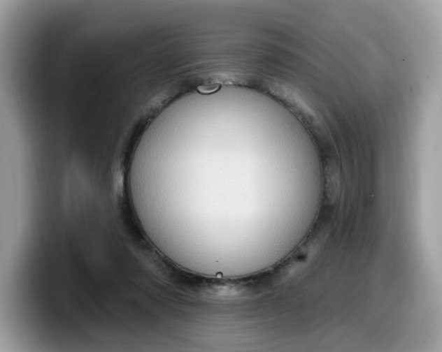 X0000099580310200805301604