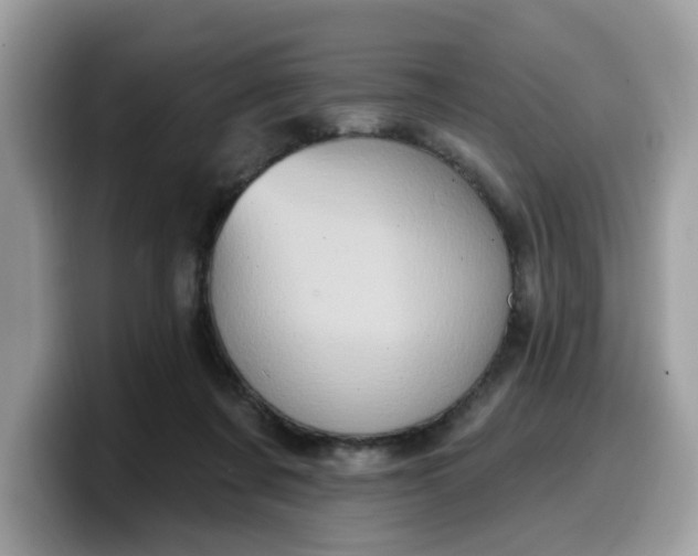 X0000099580311200805301604