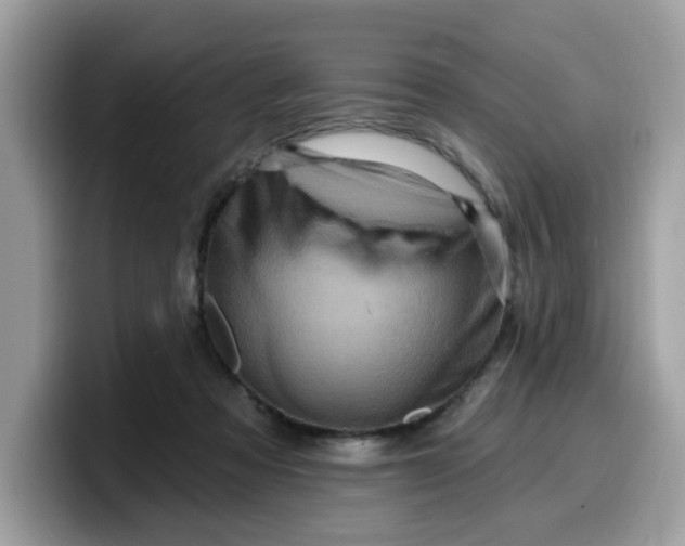 X0000099580313200805301604