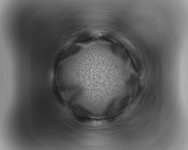 X0000099580314200805301604