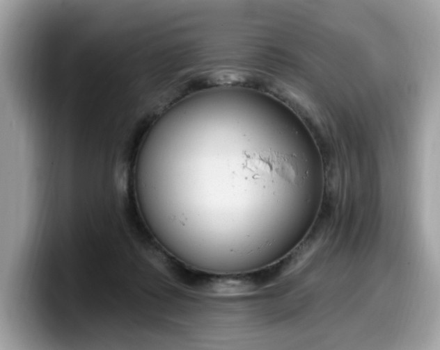 X0000099580315200805301604