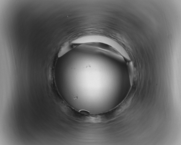 X0000099580317200805301604