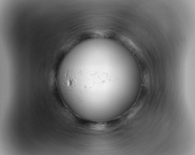 X0000099580318200805301604