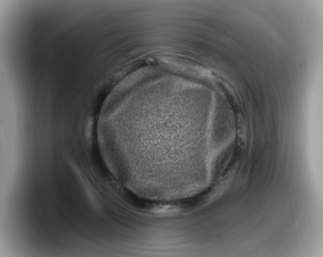 X0000099580319200805301604