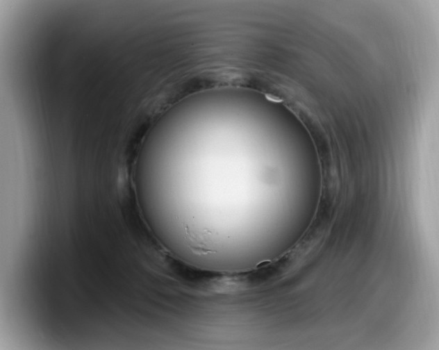 X0000099580320200805301604