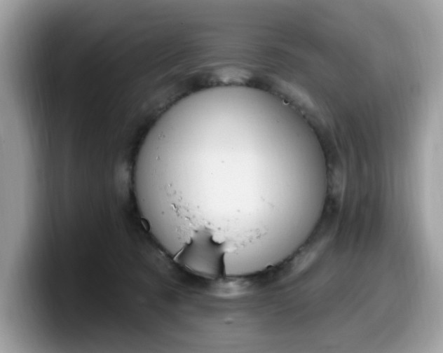 X0000099580321200805301604