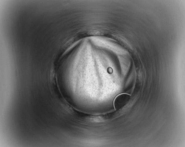 X0000099580322200805301604