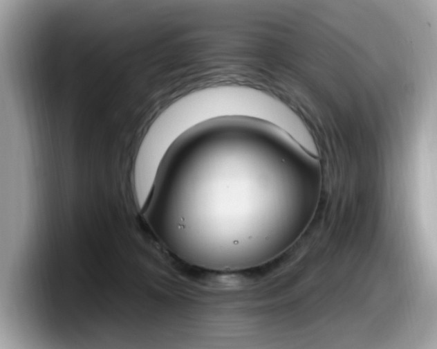 X0000099580324200805301604