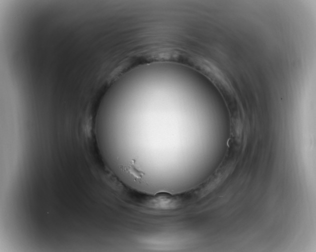 X0000099580326200805301604