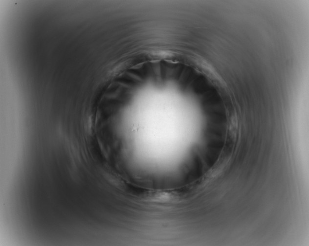 X0000099580330200805301604