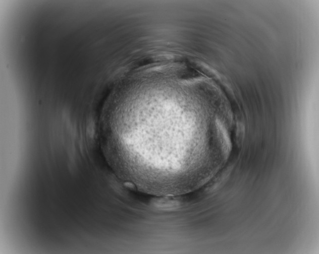 X0000099580331200805301604