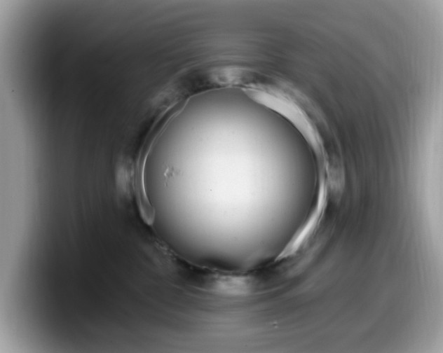 X0000099580332200805301604