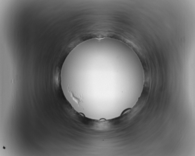 X0000099580334200805301604