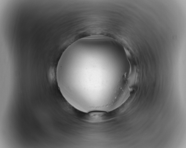 X0000099580335200805301604