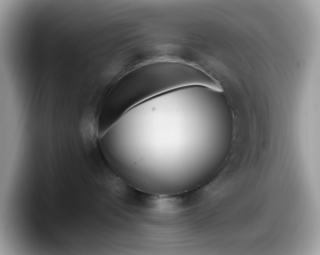 X0000099580336200805301604